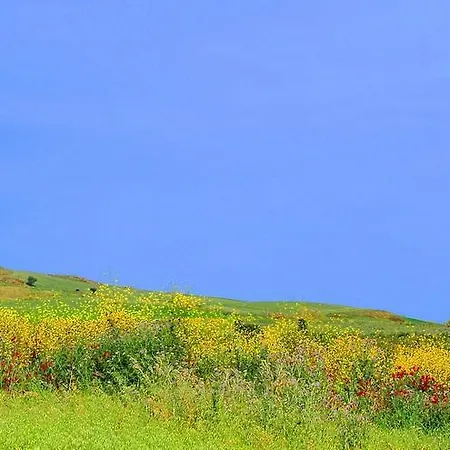 Holiday home Baglio Montoleone *